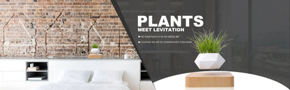 Floating Plant Pot Planter Suspension Air Bonsai Pot Flower Pot Levitating Plant Pot for Home Office