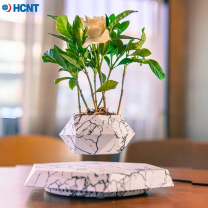 Floating Plant Pot Planter Suspension Air Bonsai Pot Flower Pot Levitating Plant Pot for Home Office