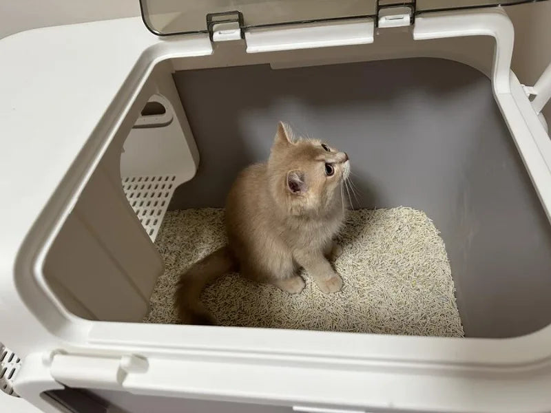 Large Cat Litter Boxes Corridor Style Design Enclosed Litter Tray Odor Splash-Proof Kitten Toilet Convenient Lid Pet Clean